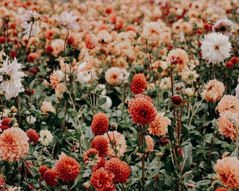 Spring Garden Prep: Simple Steps for a Healthy Start