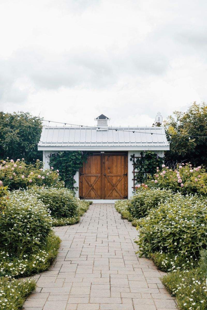 Container Gardening Ideas for Patios and Small Spaces