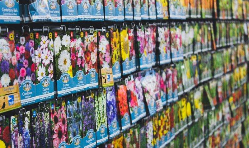 Maple Grove Garden Co. 6