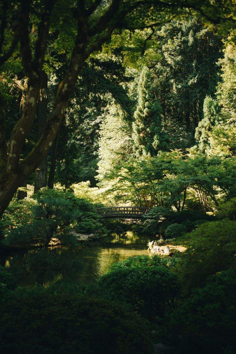 Garden design and planning