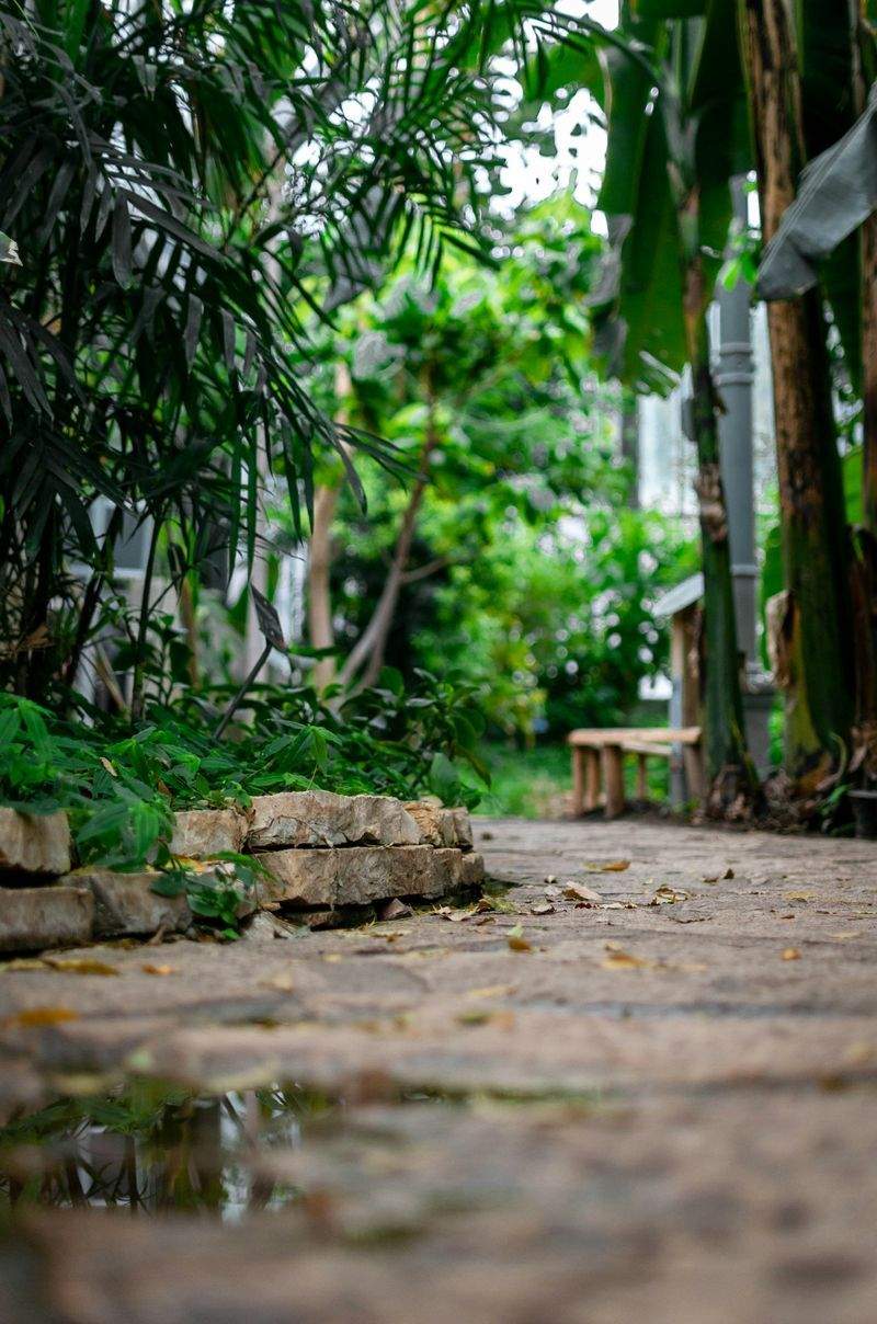 Mulching and soil conditioning