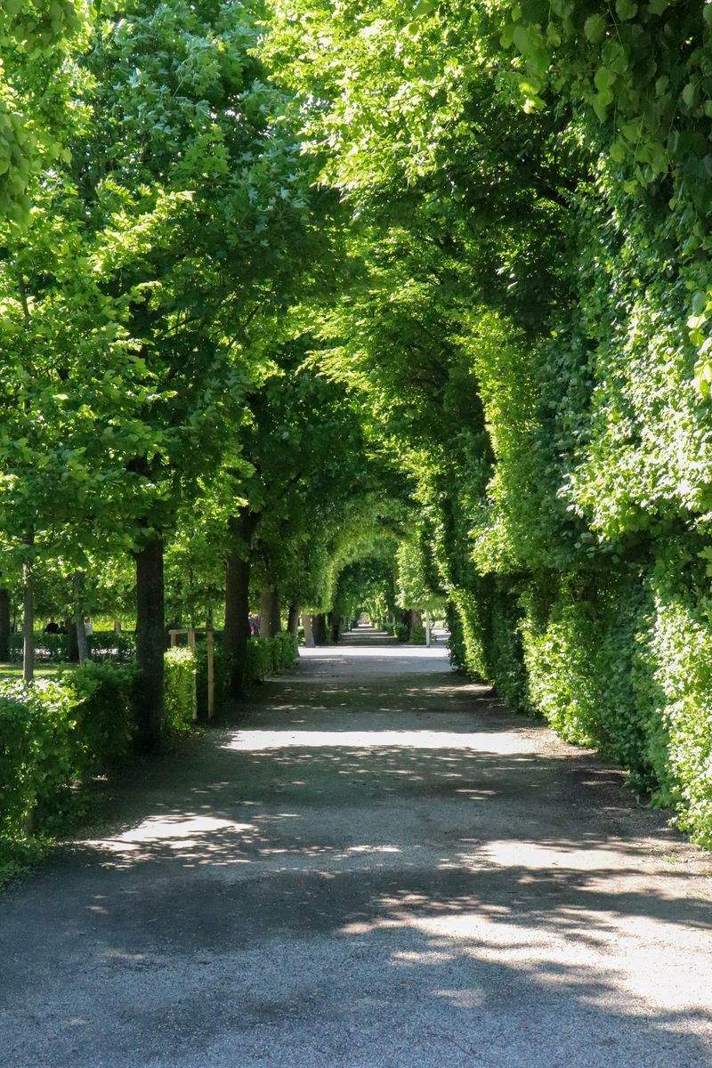 Spring and fall garden cleanups